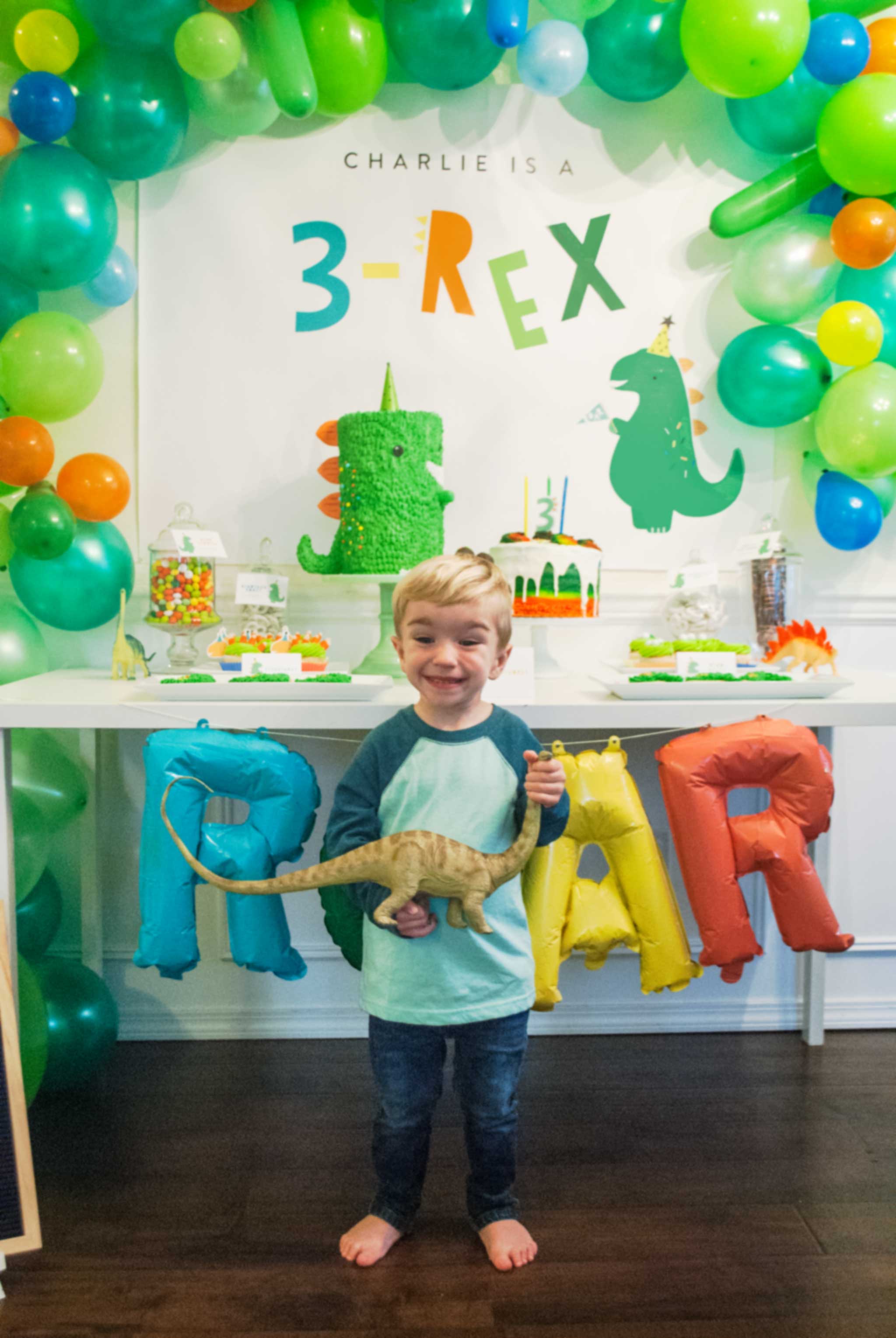 3-Rex Birthday Party 3-Rex Birthday Party